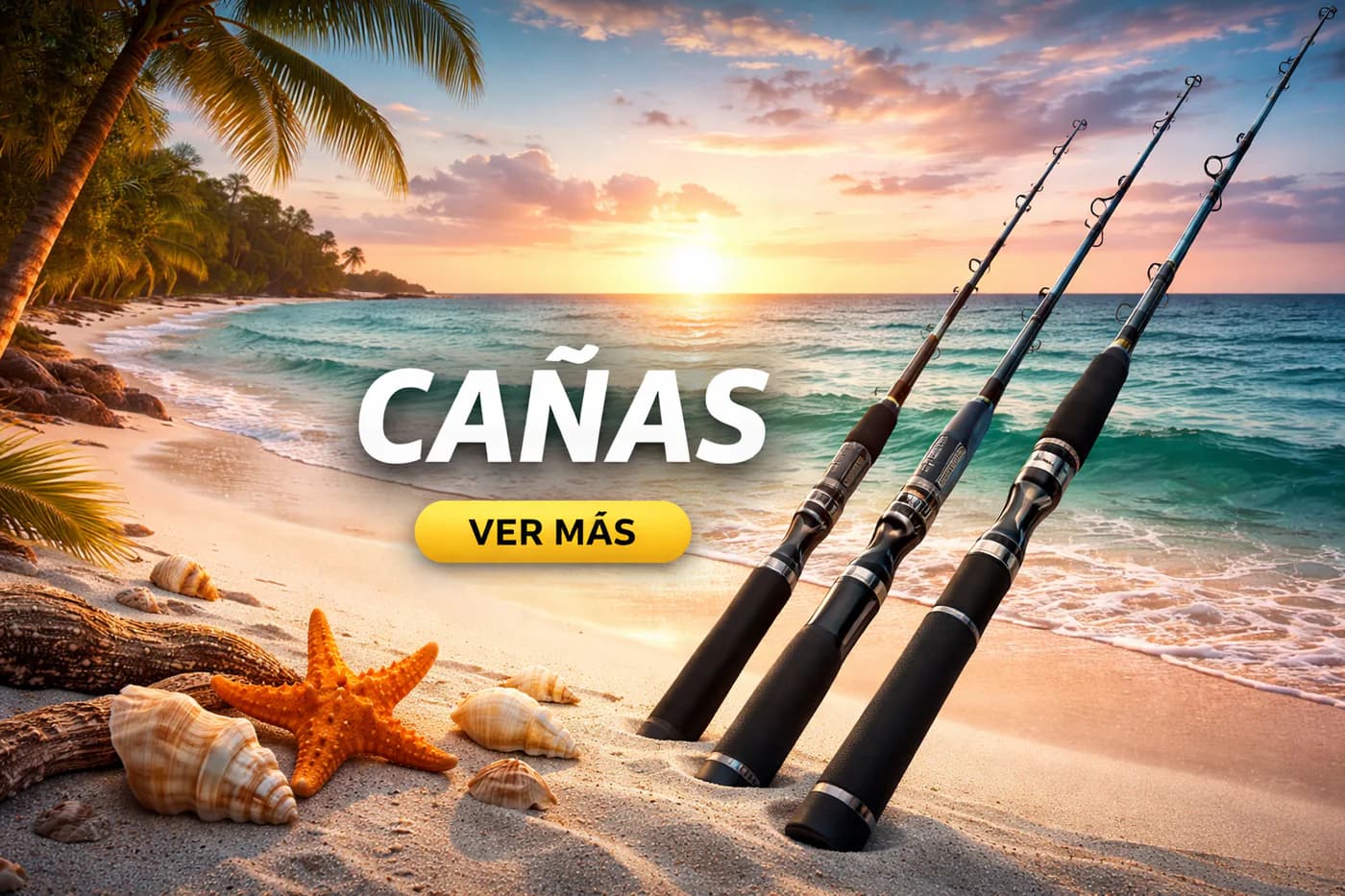 Categoría Cañas